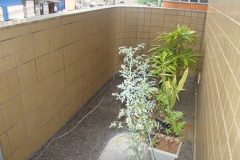 DSC02423